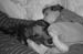 libby12-046